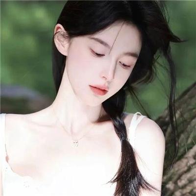 新忠烈图